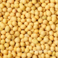 最高の価格優れた品質安い卸売黄色大豆